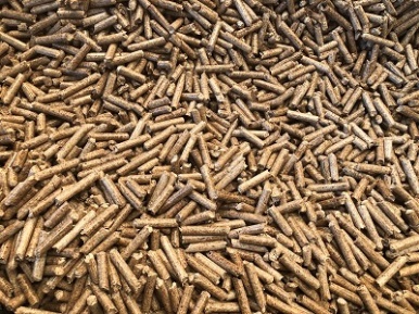 Biomass Fuel Pellet With Fresh Wood Logs