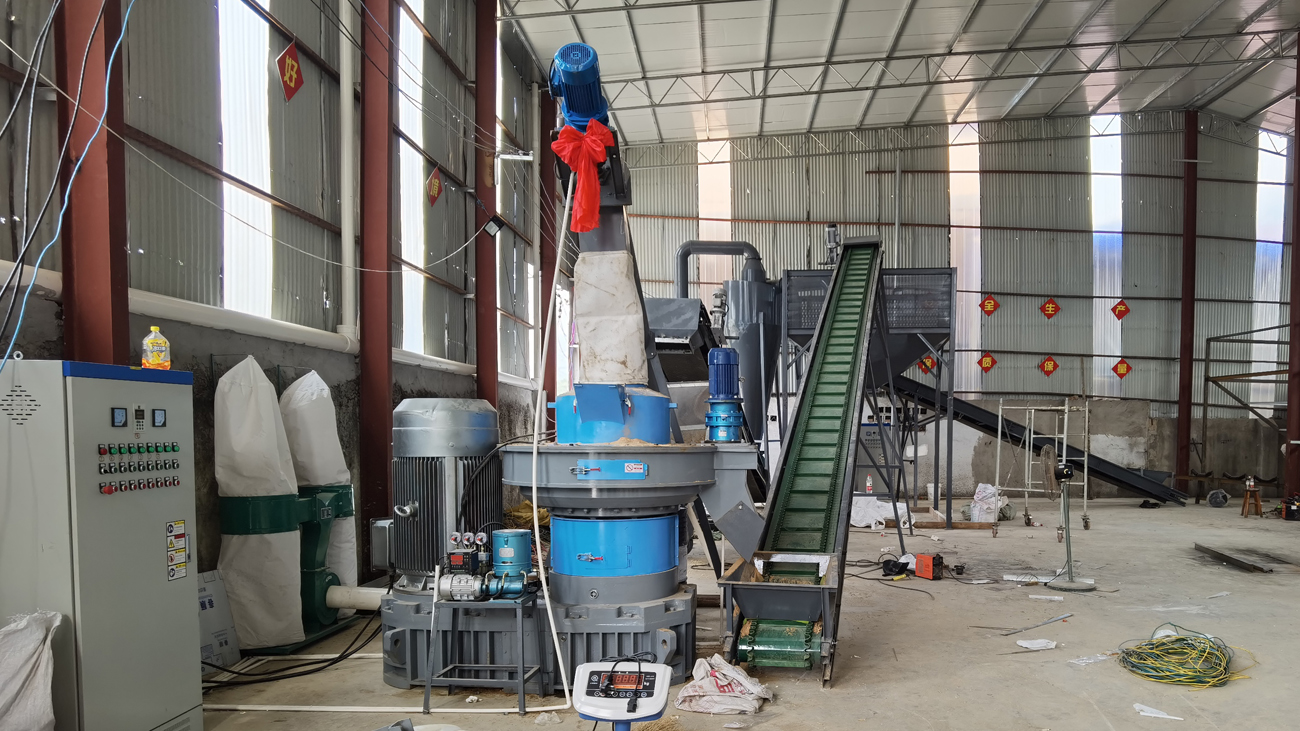 Case study of a 2-3 tons/hour wood pellet production line project in Wenzhou, Zhejiang