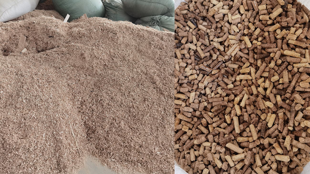 Case study of a 2-3 tons/hour wood pellet production line project in Wenzhou, Zhejiang