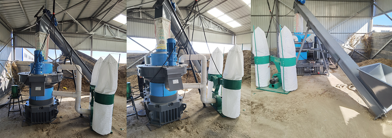 Case study of 2-3 tons per hour peanut shell pelletizing project in Qinhuangdao, Hebei