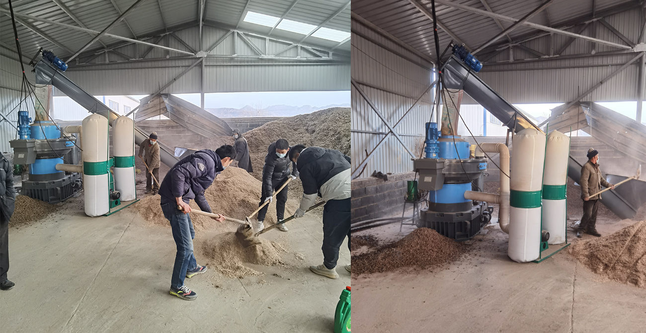 Nghiên cứu điển hình về dự án ép viên vỏ đậu phộng 2-3 tấn mỗi giờ ở Tần Hoàng Đảo, Hà Bắc