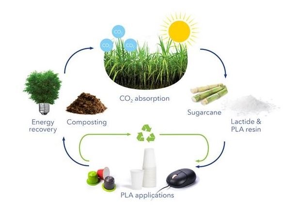 Oil and gas giants accelerate the layout of pellet fuel